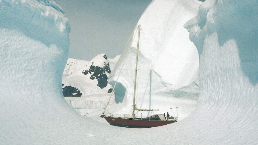 The yacht of Michele and Georges Meffre sailing through the ice in Antarctica.