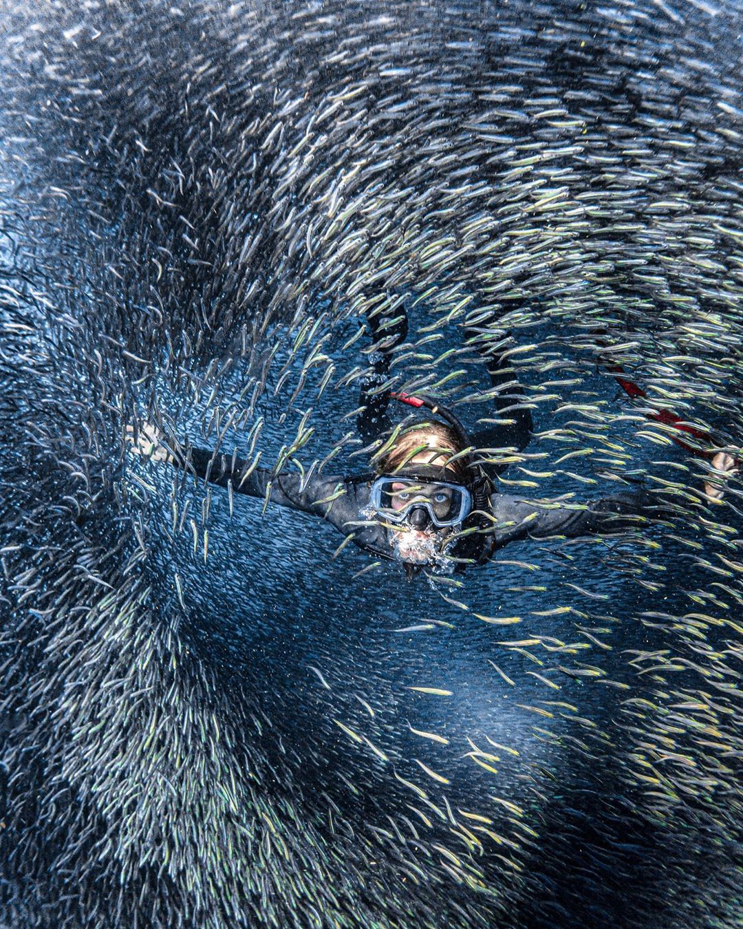 Fish ear bones, otoliths, teach scientists about marine life and