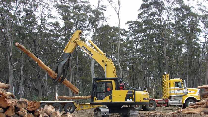 Log handling machine picks up log in forestry coupe