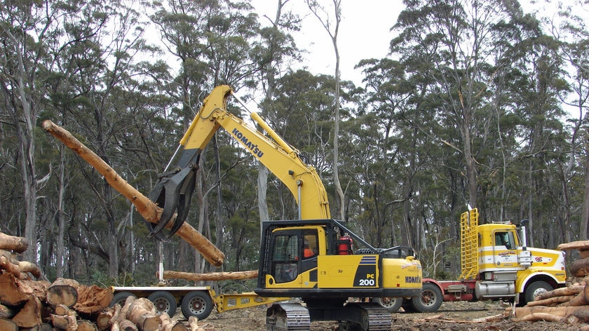 Environment Tasmania says there are deep fears and mistrust over the deal.