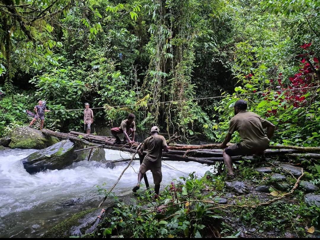 Surrounded by trees, five men stand on either side of a log, which is creating a bridge over a river on the Kakoda trail. 