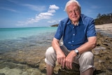 Sir David Attenborough sits on an exposed section of reef at the water's edge on a beach