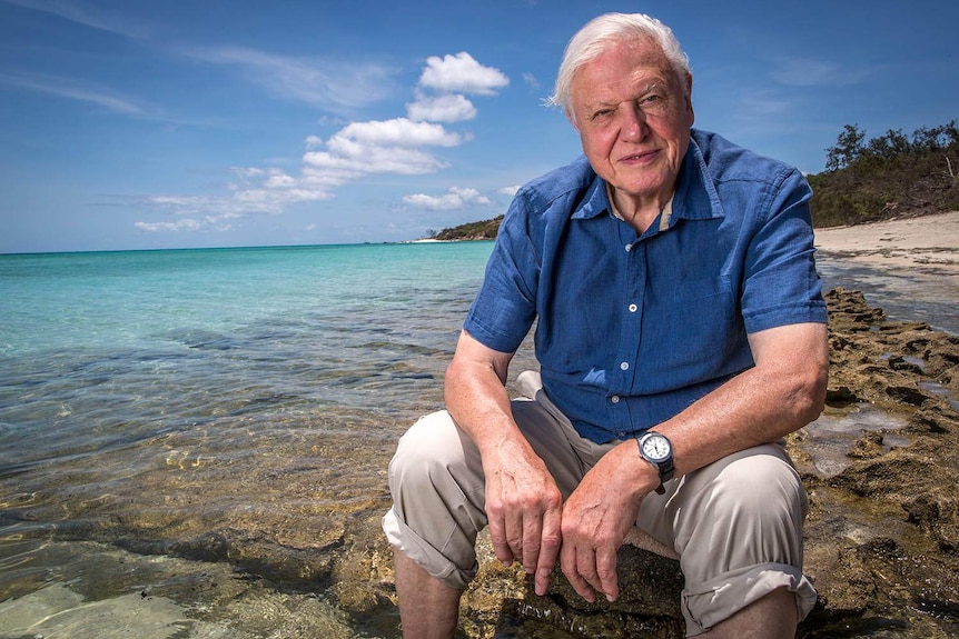 Sir David Attenborough sits on an exposed section of reef at the water's edge on a beach