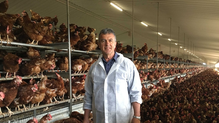 a man in a white coat in front of chickens in cages