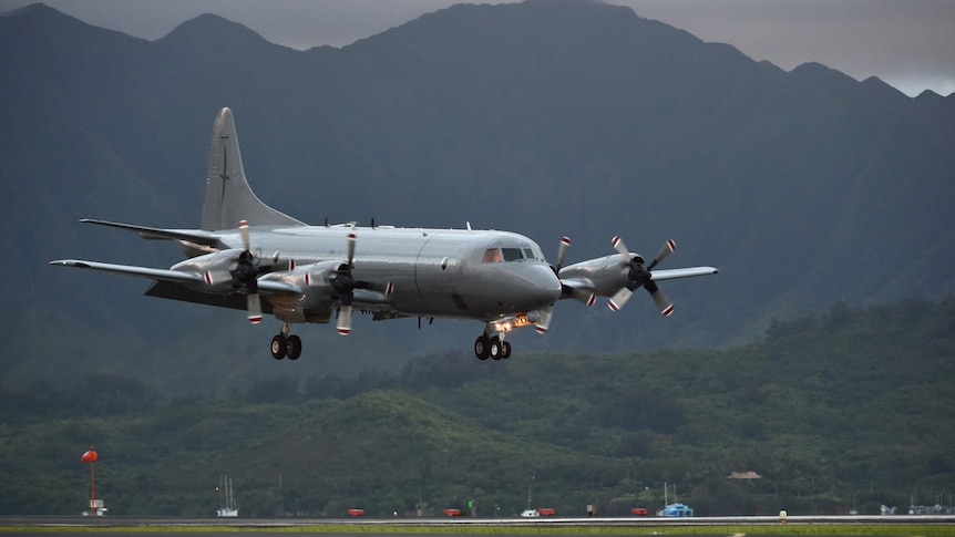 A New Zealand Air Force plane landing at an airstrip