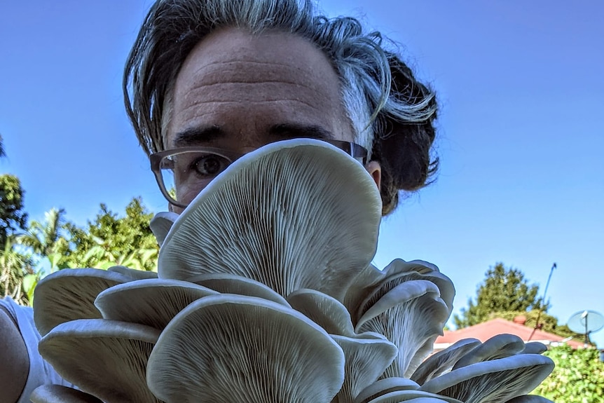 A man holds a cluster of mushrooms grown in his garage, a pandemic hobby turned profitable.