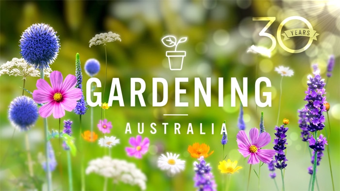 Cottage garden flowers in field with text 'Gardening Australia 30 years.'