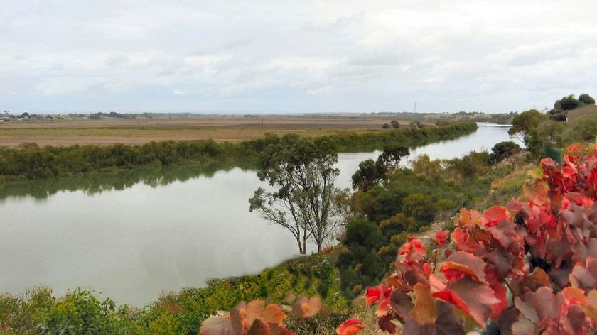 River Murray at Tailem Bend