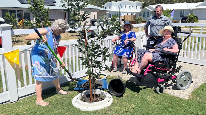 New tenants plant a tree in the front yard of the property.