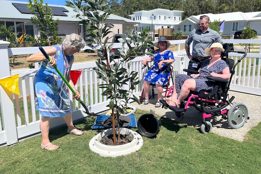 New tenants plant a tree in the front yard of the property.