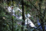 The wreckage of an Airlines PNG Twin Otter aircraft lies in the jungle