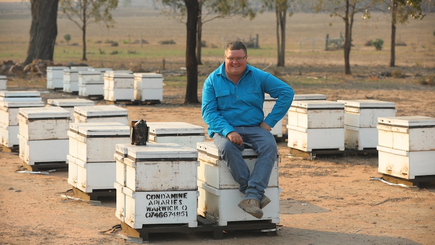 Man sitting on bee hive on a farm