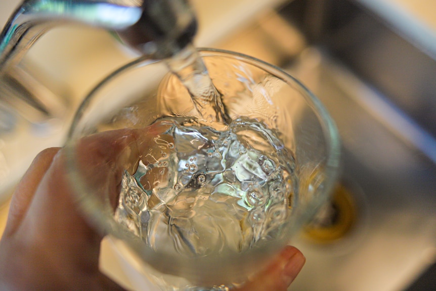 Un grifo de cocina llena un vaso con agua potable.