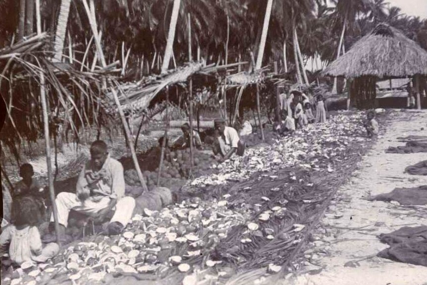 Copra production at Home Island, 1908-1921