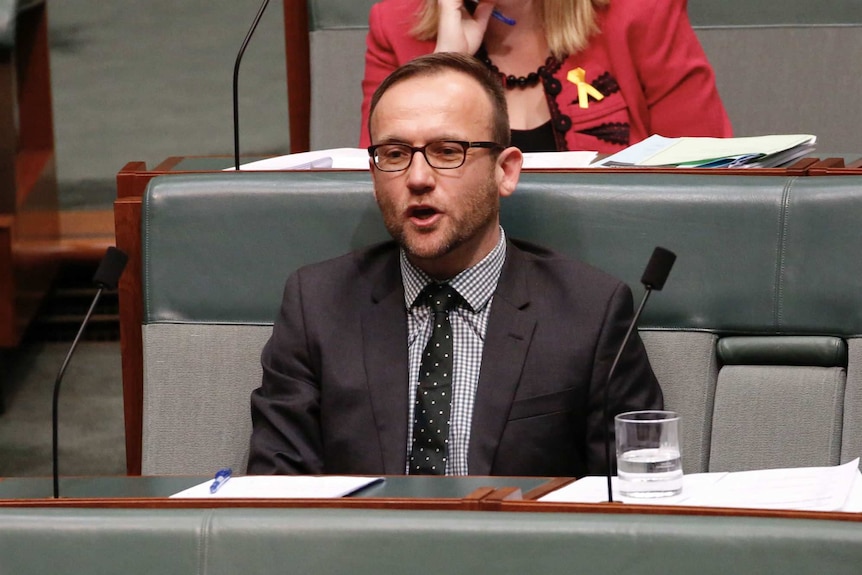 Adam Bandt sits in the House of Representatives