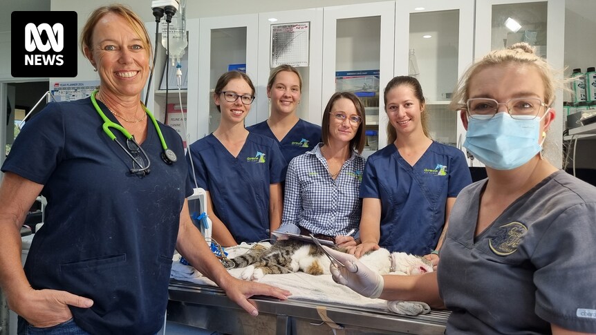 Clinique vétérinaire entièrement féminine à Inverell, en Nouvelle-Galles du Sud, aidant les mamans à rester sur le marché du travail