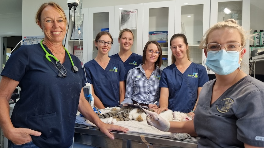 Female vets stand around an operating table with a cat.