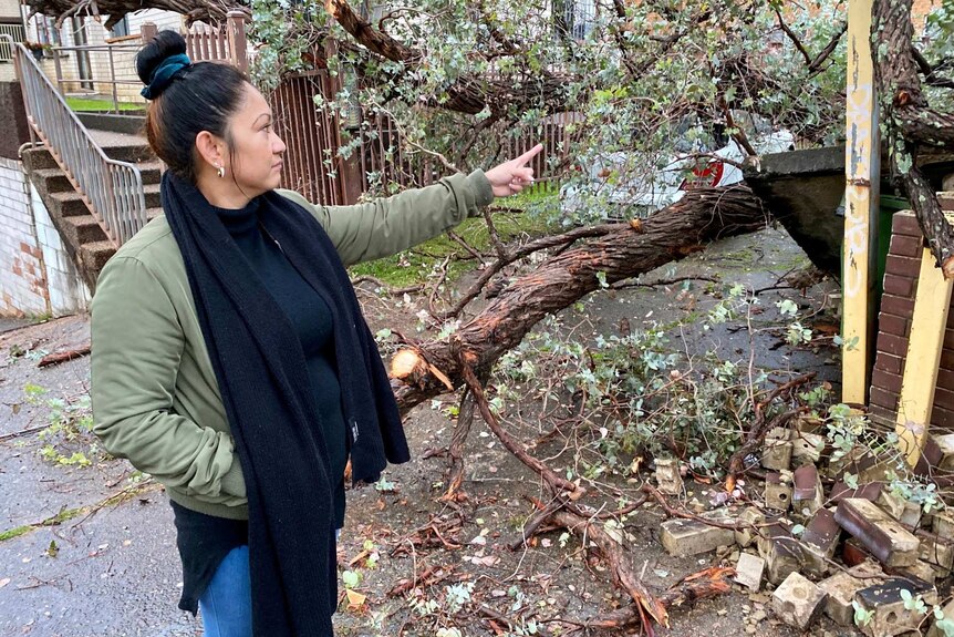 woman pointing at a toppled tree