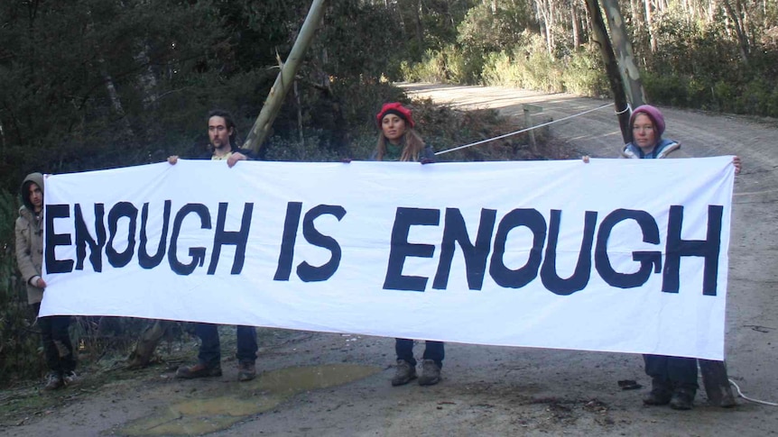 Code Green anti-logging protesters at Ben Lomond
