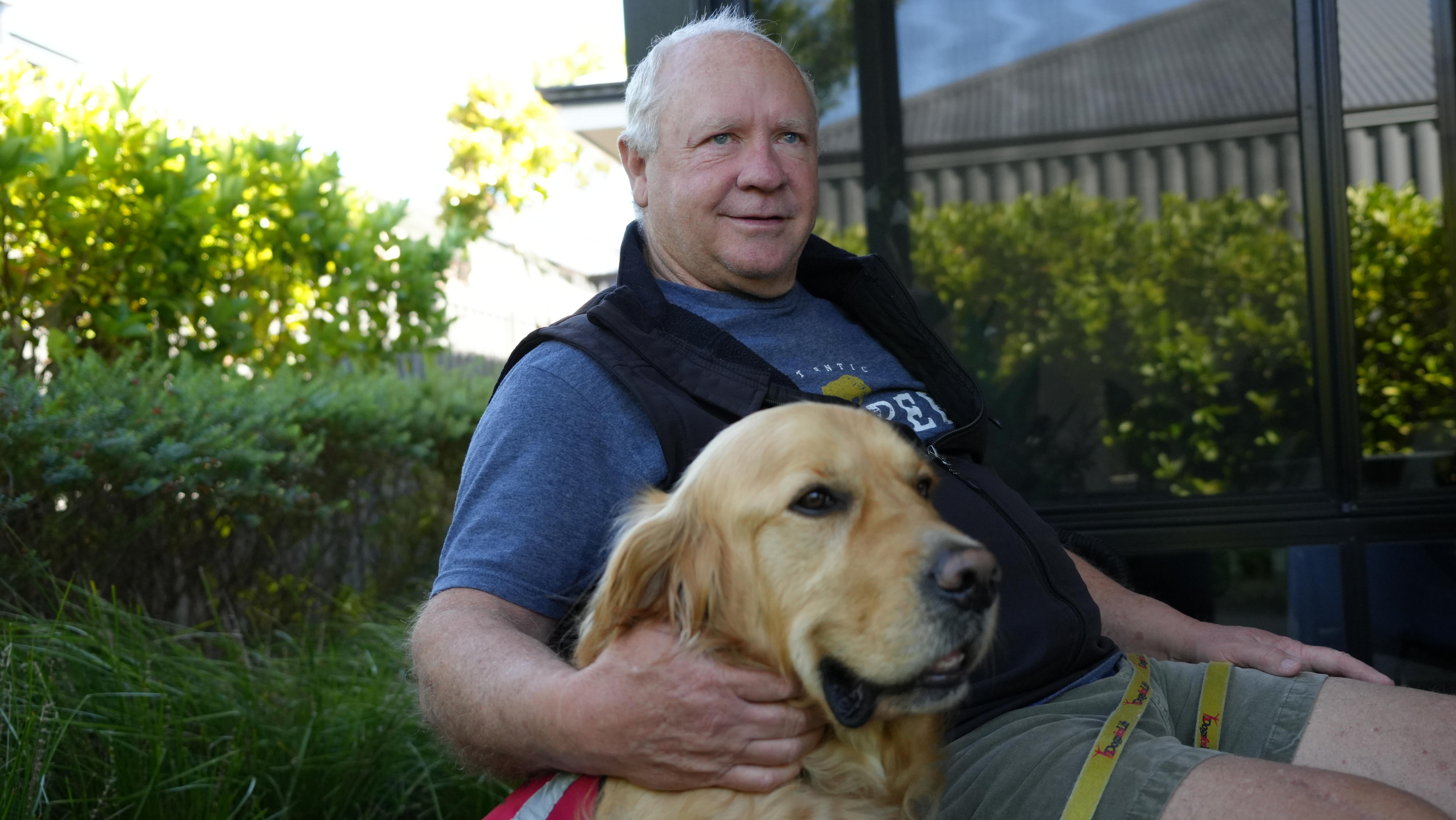 'Unqualified' assistance animals causing distress, handlers say