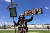 Masked protester holds signs praising wind, solar power