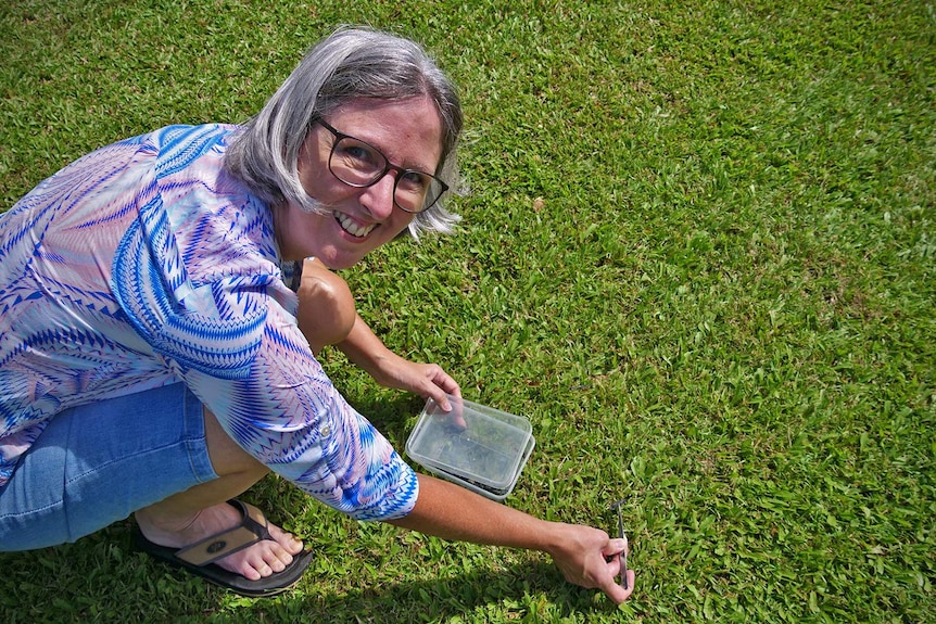Tamika Savorgnan collects cane ash from the lawn with a pair of tweezers