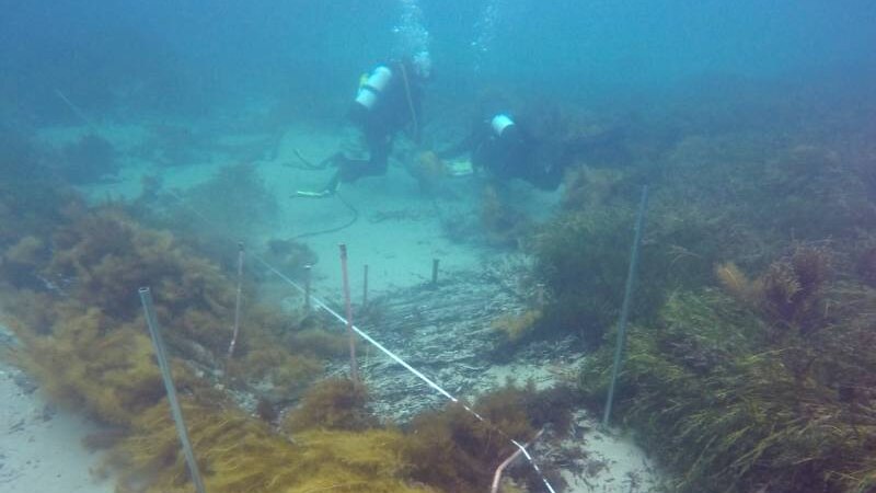 Divers investigate shipwreck at victor harbor