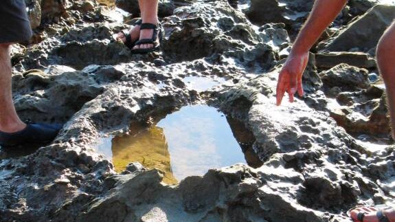 Dinosaur footprints have been found near James Price Point.