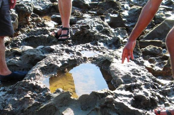 Dinosaur footprints in the Kimberley