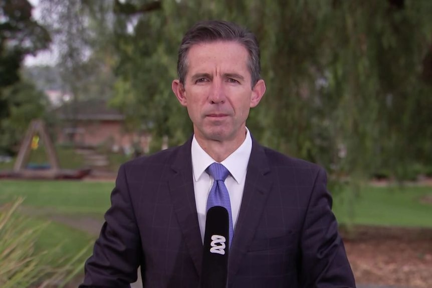 Shadow Foreign Minister Simon Birmingham gives a live TV interview in a park.