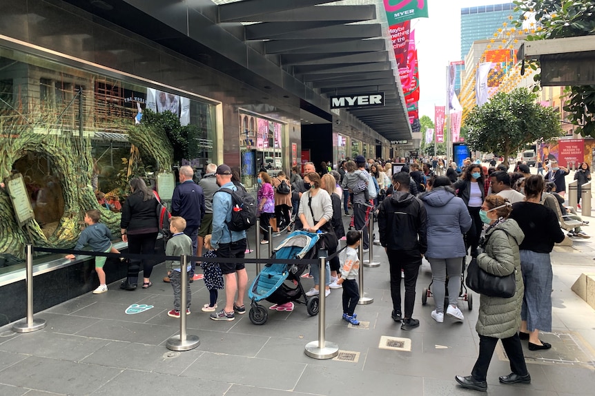 Crows in for of Myer window, which features a green tree on left side of photo.