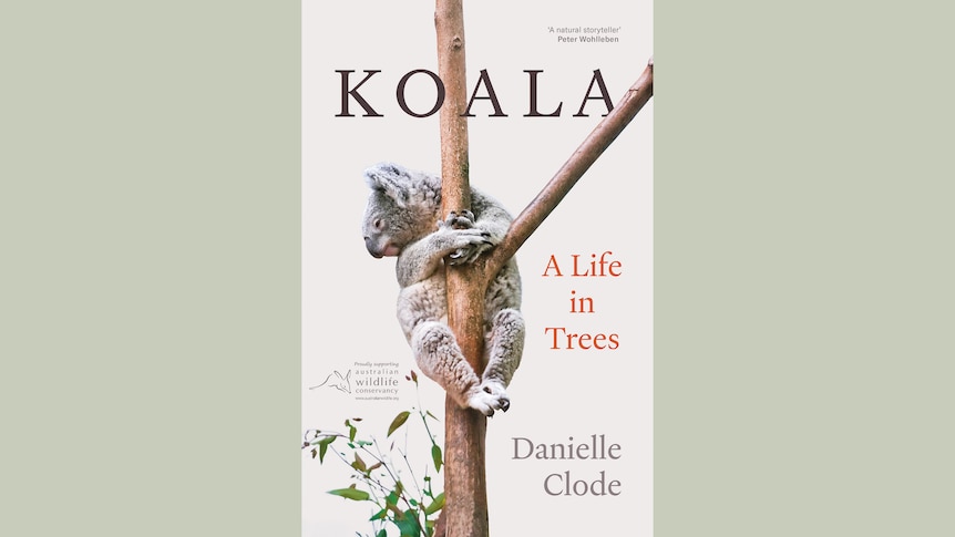 Book cover - Koala A life in trees