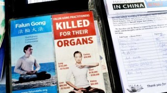 Falun Gong Pamphlets alongside signatures collected from passers-by on Swanston Street in Melbourne's CBD.