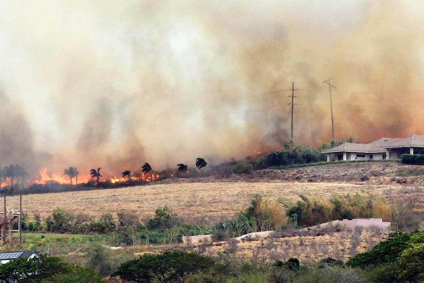 Windswept flames and smoke rush toward a pair of luxury homes.