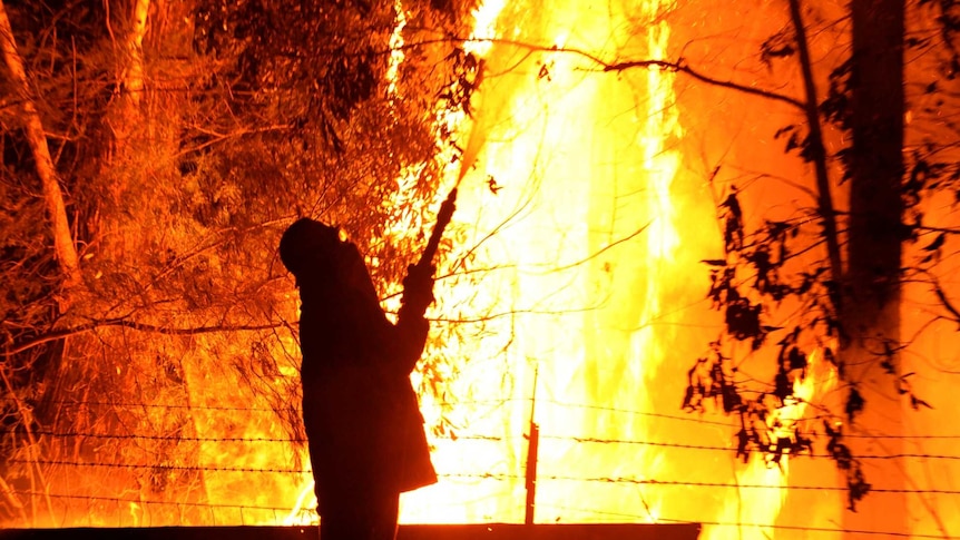 Firefighter battles NSW blaze