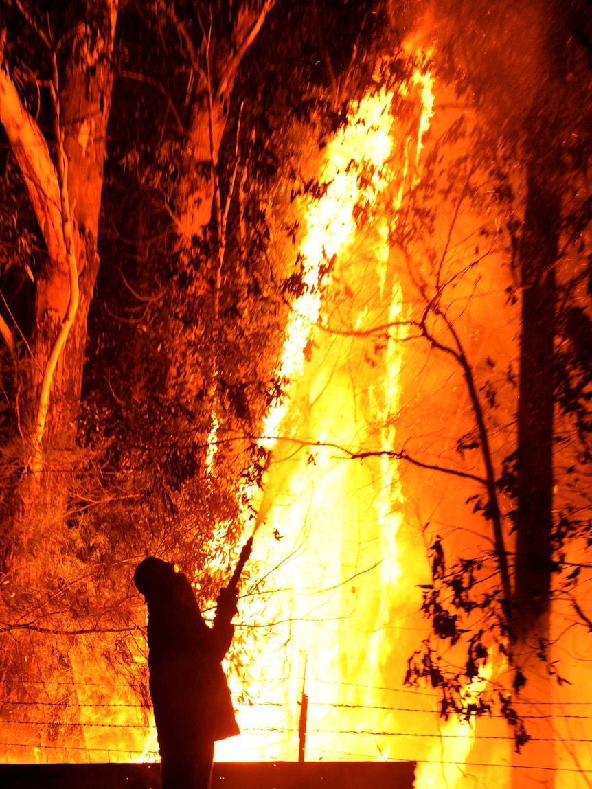 Firefighter battles NSW blaze