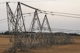 A power transmission tower lies collapsed on a field.