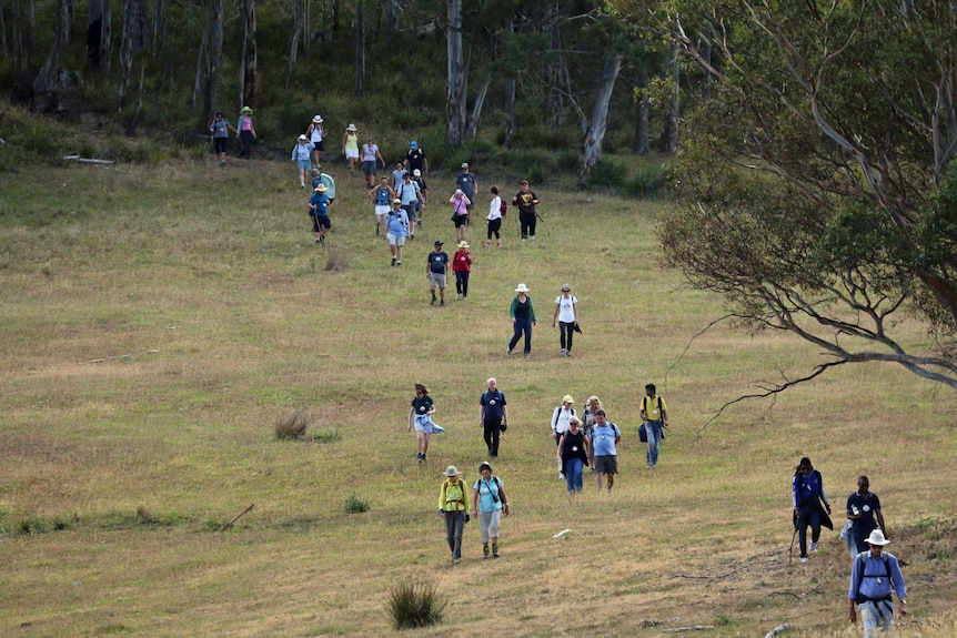 Pilgrims make their way through a clearing