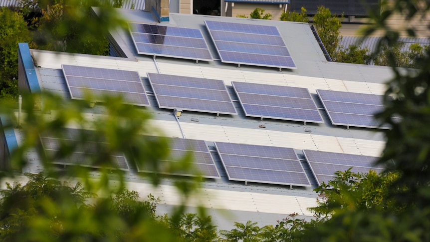 A group of solar panels on a roof through the frame of leafy trees.