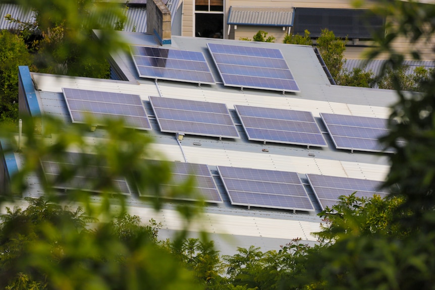 Solar panels on a roof, as seen through the branches of trees.