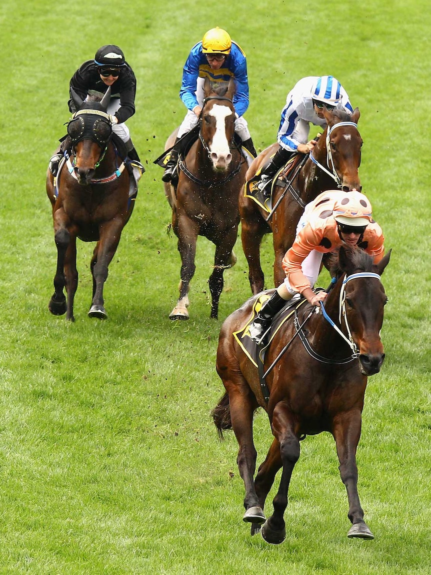 Black Caviar wins the Schweppes Stakes