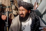 Pakistani Taliban commander dies in US drone strike