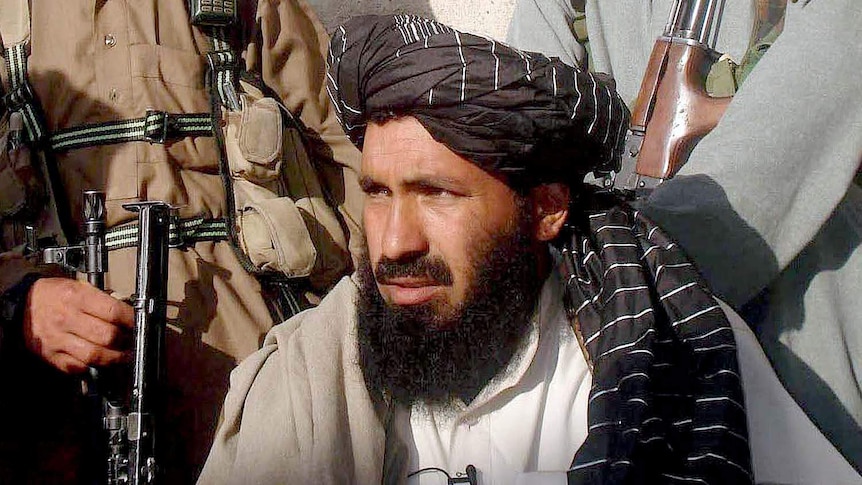 Pakistani Taliban commander dies in US drone strike