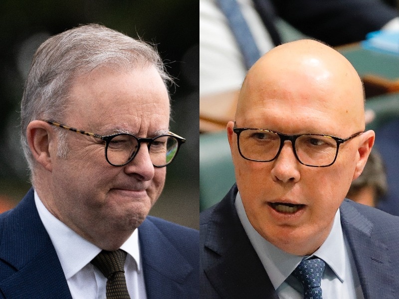 Split image shows profile of Anthony Albanese looking down, lips pursed, and Peter Dutton glancing up, squinting