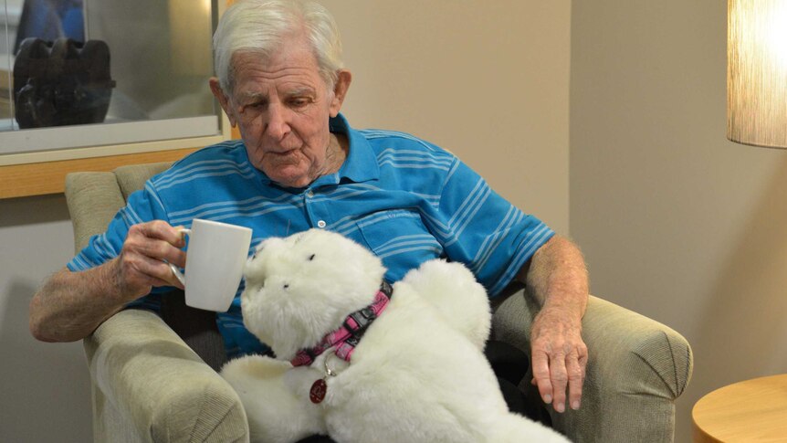 Noel Goudge holds a robotic toy seal