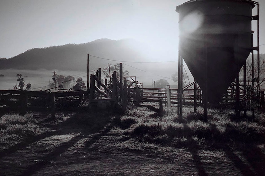 赵先生拍摄的一张反映新州乡镇景色的摄影作品《面前一座农场》。