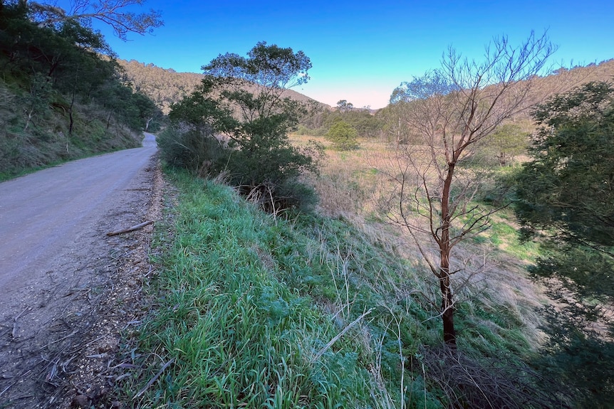 A dirt road adjacent a shallow valley 