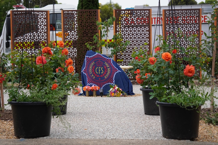 Four pot plants with orange flowers and green leaves surround a memorial stone covered with a CFS flag
