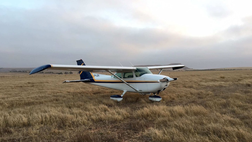 A Cessna in a Geraldton paddock where it made an emergency landing.