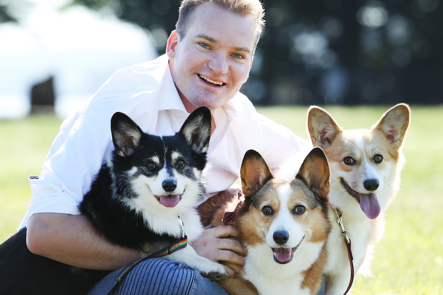 Man in white shirt with three corgis on his lap